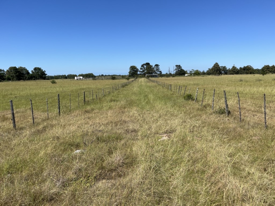 Commercial Property for Sale in Bathurst Rural Eastern Cape